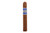 Cohiba Blue Robusto Cigar Single 