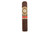 Perdomo 20th Anniversary Maduro Robusto Single 