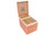 Asylum Insidious Gordo Cigar Box