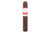 Casa Turrent 1880 Maduro Robusto Cigar Single 