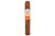 Avo Syncro Fogata Robusto Cigar Single 