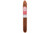 Rocky Patel Fifty-Five Toro Cigar Single