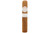  Montecristo White Series Robusto Grande en Tubo Cigar Single