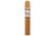 Perdomo Lot 23 Connecticut Robusto Cigar Single