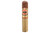 PDR A. Flores 1975 Gran Reserva Corojo Half Corona Cigar Single