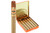 PDR A. Flores 1975 Gran Reserva Sun Grown Purito Cigar