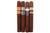 Rocky Patel Nicaraguan Toro Cigar Sampler Samplers