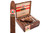 Joya de Nicaragua Antaño 1970 Magnum 660 Cigar
