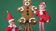 Christmas Elves: A Tale of the Elf