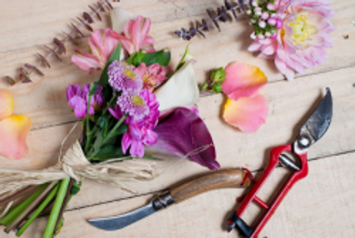 Special Offers - Floristry