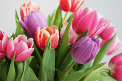 Artificial Flowers