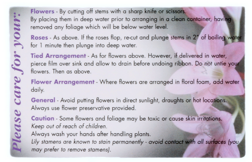 Cut Flowers Care Card (x50)