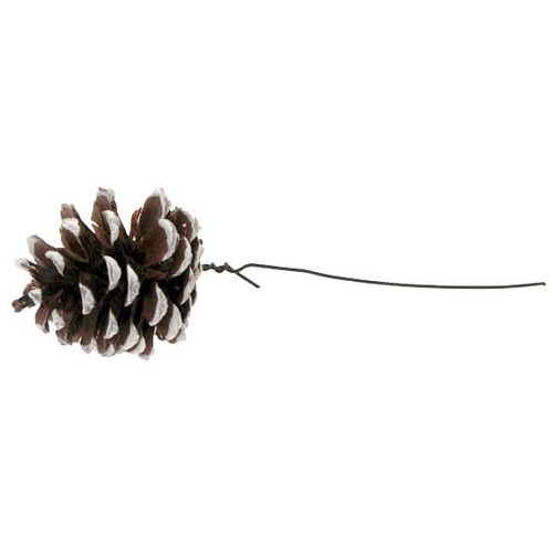 White Tipped Austriaca Cones on Wire White Tipped Austriaca Cones on Wire