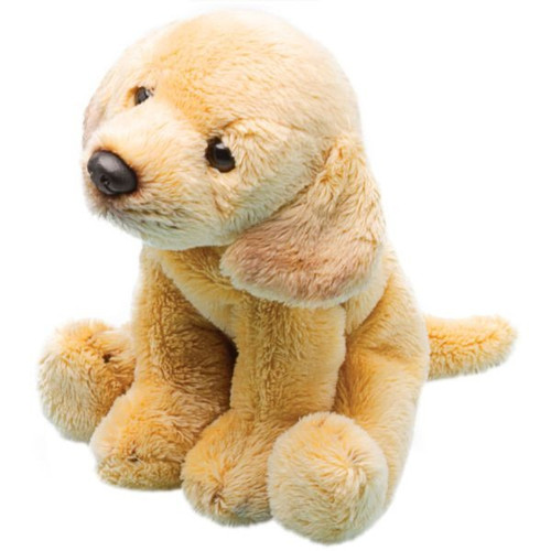 Yomiko Sitting Yellow Labrador Dog Yomiko Sitting Yellow Labrador Dog