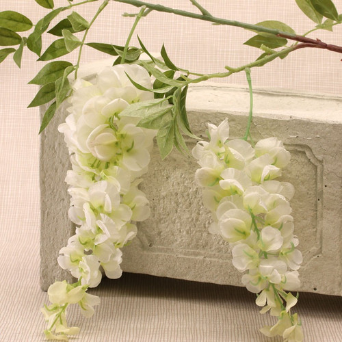 2 Head Wisteria White (90cm)