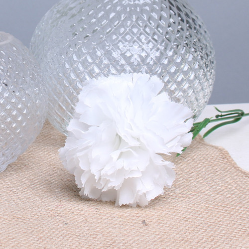 White Single Carnations (12 Stems)