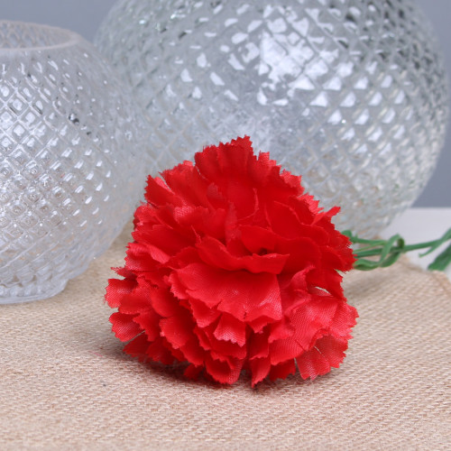 Red Single Carnations (12 Stems) Red Single Carnations (12 Stems)