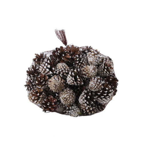 White Tipped Pinus Silvesters Cones (1kg) White Tipped Pinus Silvesters Cones (1kg)
