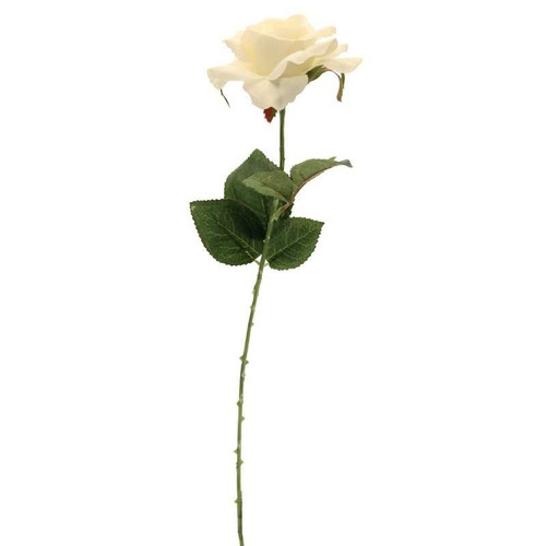 Rose Cream 42cm Rose Cream 42cm