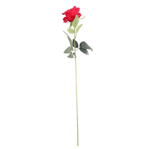 Arundel Rose Red Arundel Rose Red