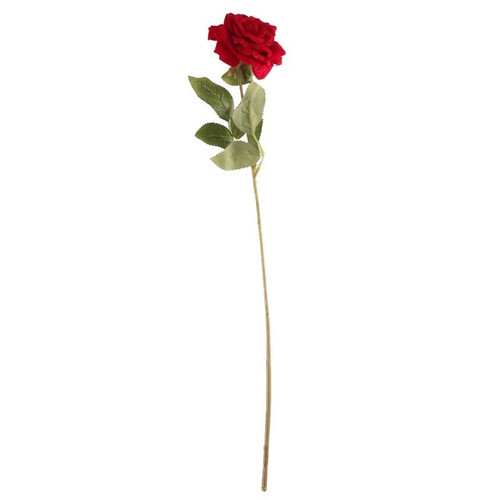Red Open Velvet Rose Red Open Velvet Rose