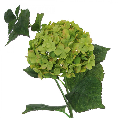 Large Hydrangea Green (20cm X 100cm)