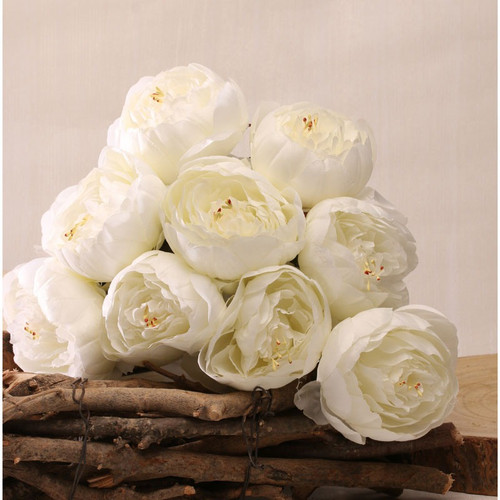 Peony Bunch X 9 White (12/72)