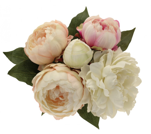 Peony Bouquet X 5 Cream/pink 