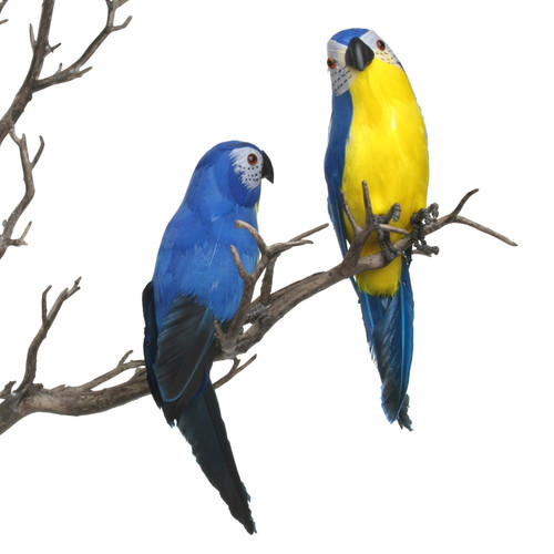 Blue Mini Macaw