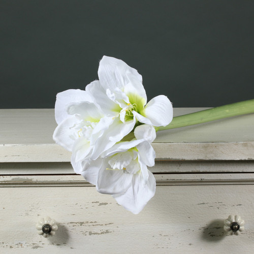 Amaryllis Spray White (60cm) Amaryllis Spray White (60cm)
