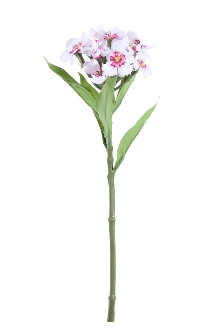 Pink Dianthus (32cm)
