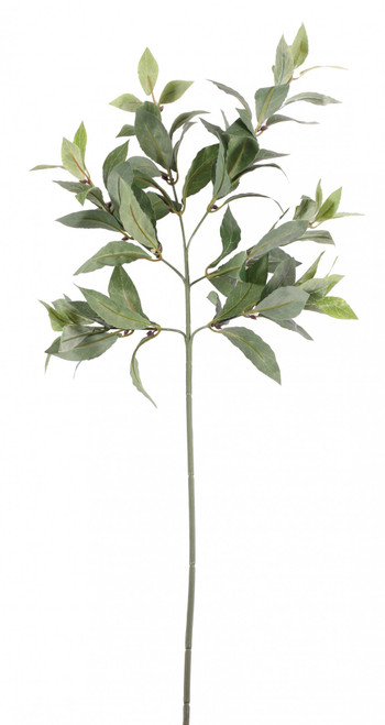 Bay Leaf Spray 70cm