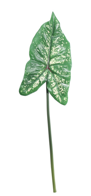 Single Syngonium Leaf (74cm)