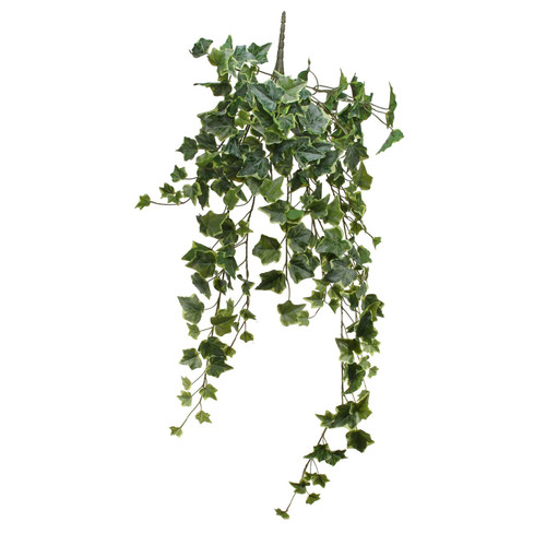 English Ivy Hanger (86cm) 