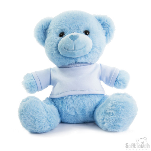 Blue Teddy Bear with T Shirt (25cm)
