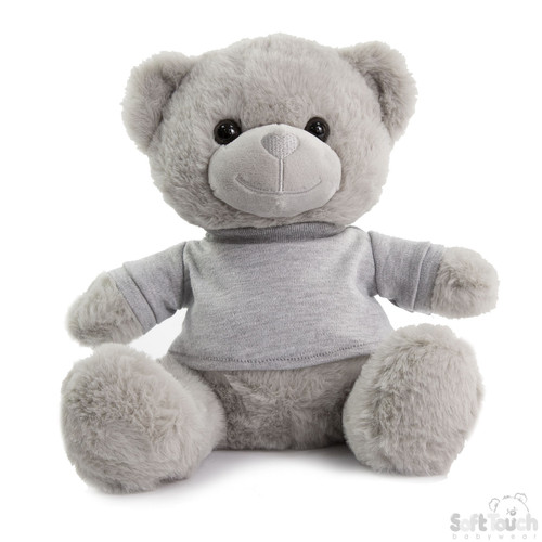 Grey Teddy Bear with T Shirt (25cm)