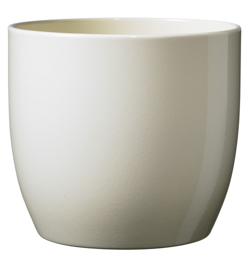 Shiny Vanilla Basel Fashion Pot (10cm)