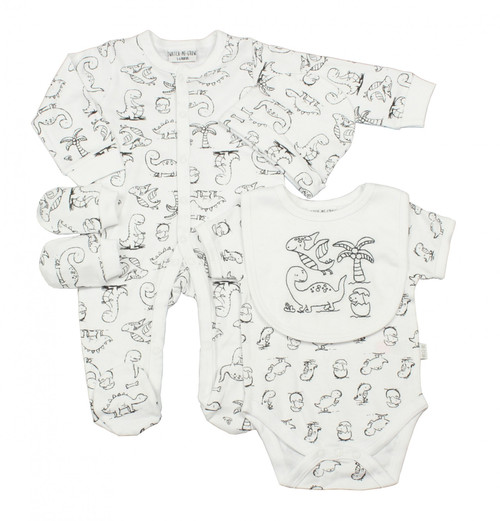 5 Piece Sketchy Dinosaur Gift Set (0-9 Months)