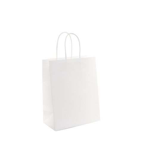 Large White Kraft Paper Bag (Pack of 10)