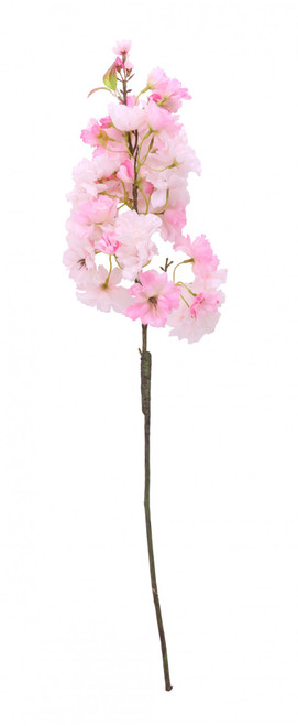 Light Pink Single Apple Blossom Light Pink Single Apple Blossom