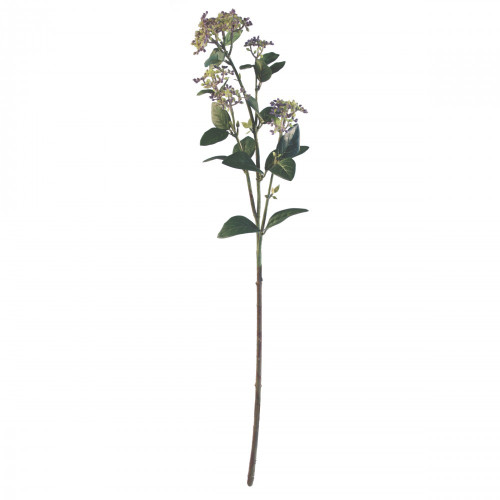 Viburnum Tinus Spray Mauve/green 