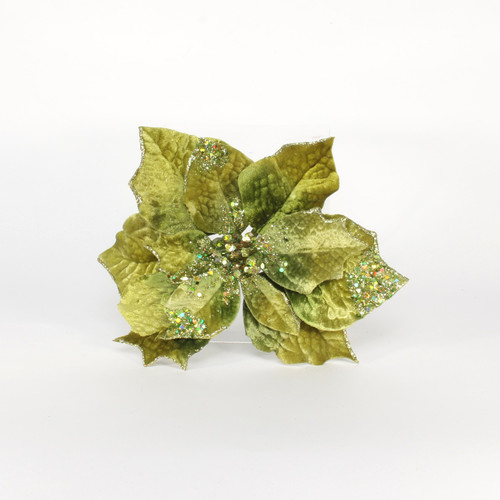 Green Poinsettia with Clip