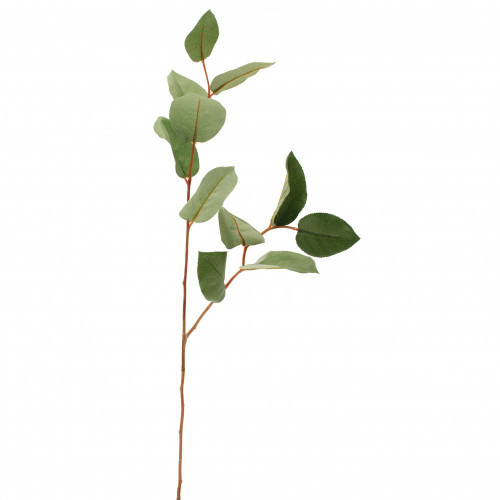 Salal Leaf Spray With 11 Leaves Dark  Green 