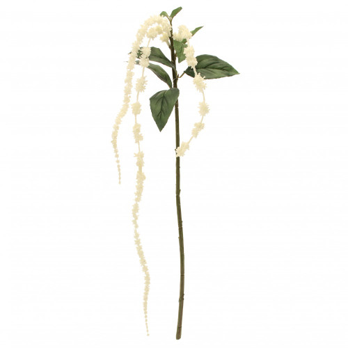 Tassel Flowers Spray X 3 Cream  