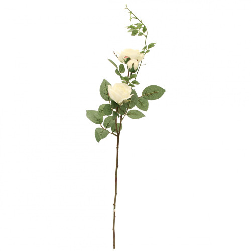 Hamilton Rose Spray W/2 Heads White 