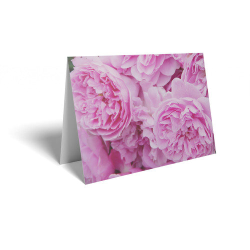 Full Pink Roses Folded Card (pack of 25)