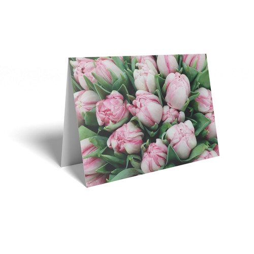 Pink/White Tulips Folded Card (pack of 25) 