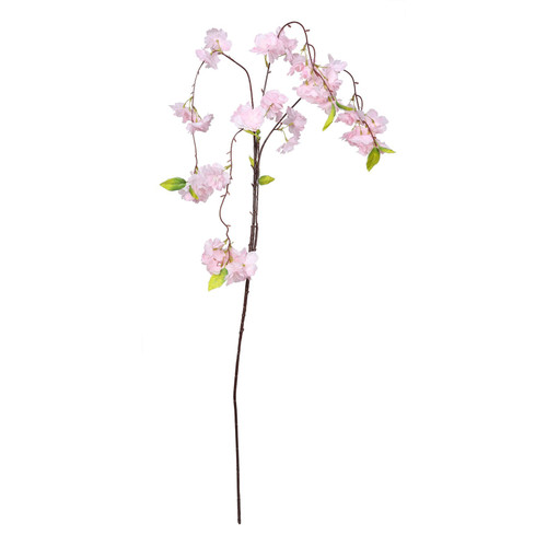 Essential Dark Pink Weeping Cherry Blossom Essential Dark Pink Weeping Cherry Blossom