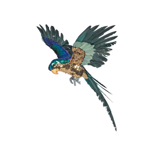 Blue and Gold Macaw (55cm) Blue and Gold Macaw (55cm)