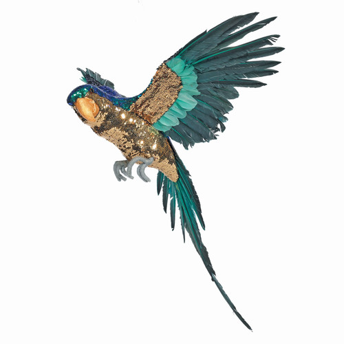 Blue and Gold Large Macaw (80cm) Blue and Gold Large Macaw (80cm)
